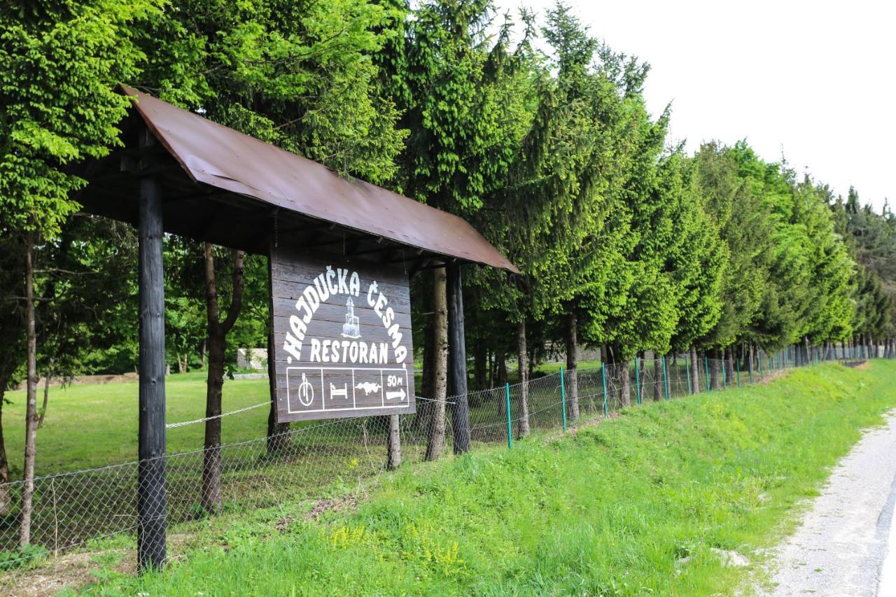 Holiday Park Hajducka Cesma Dubovsko Exterior foto